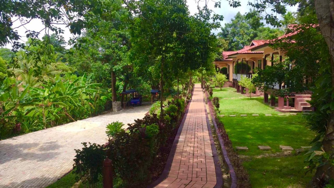 Hill Garden Hotel Chaungtha Eksteriør bilde